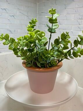 Pink Ceramic Planter